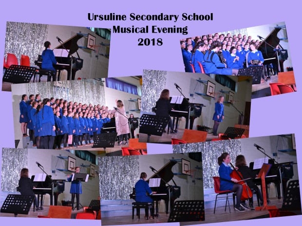 Secondary School Musical Evening 2018 (3)